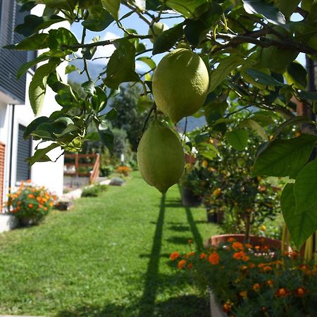 Il Giardino Dei Ciliegi Lägenhet Colico Exteriör bild