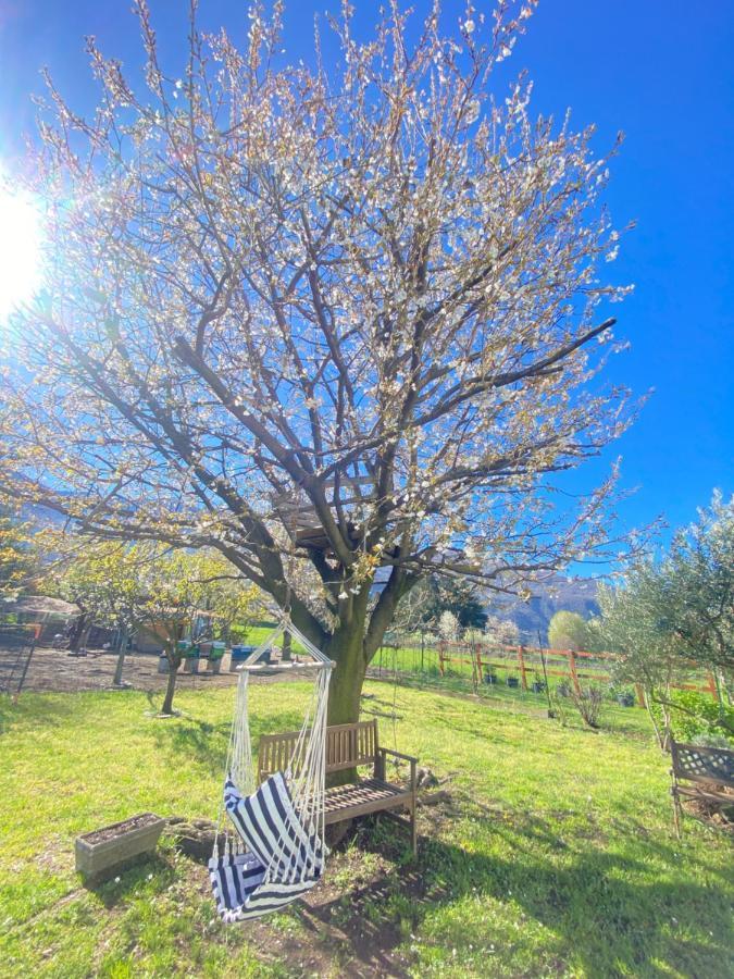 Il Giardino Dei Ciliegi Lägenhet Colico Exteriör bild
