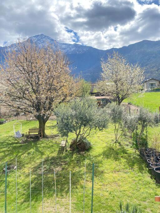 Il Giardino Dei Ciliegi Lägenhet Colico Exteriör bild