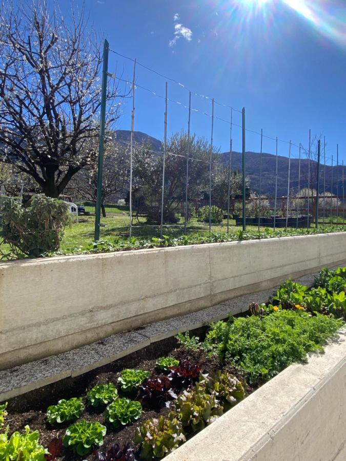 Il Giardino Dei Ciliegi Lägenhet Colico Exteriör bild