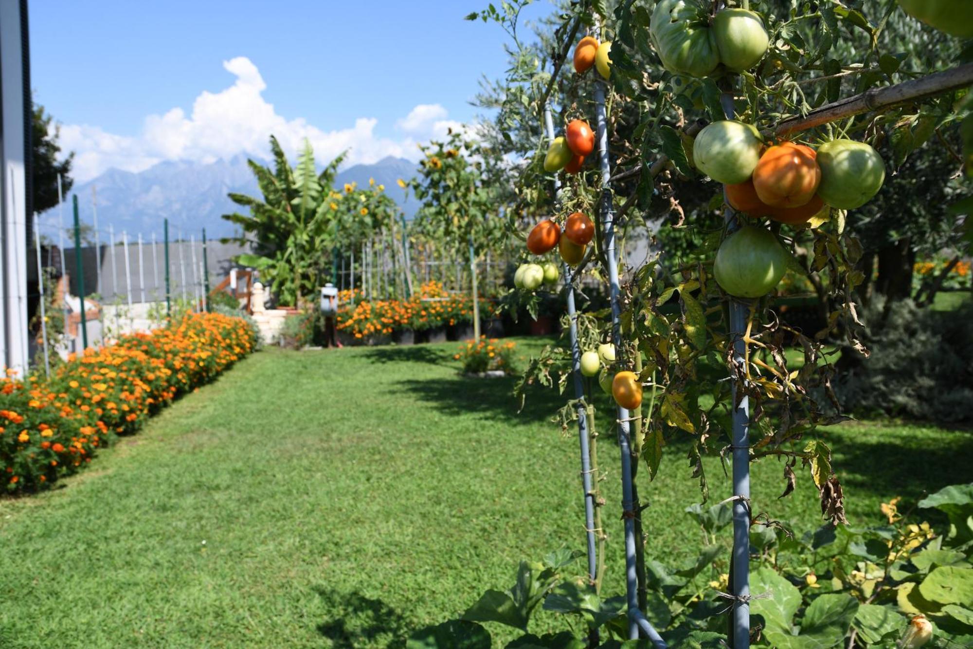 Il Giardino Dei Ciliegi Lägenhet Colico Exteriör bild