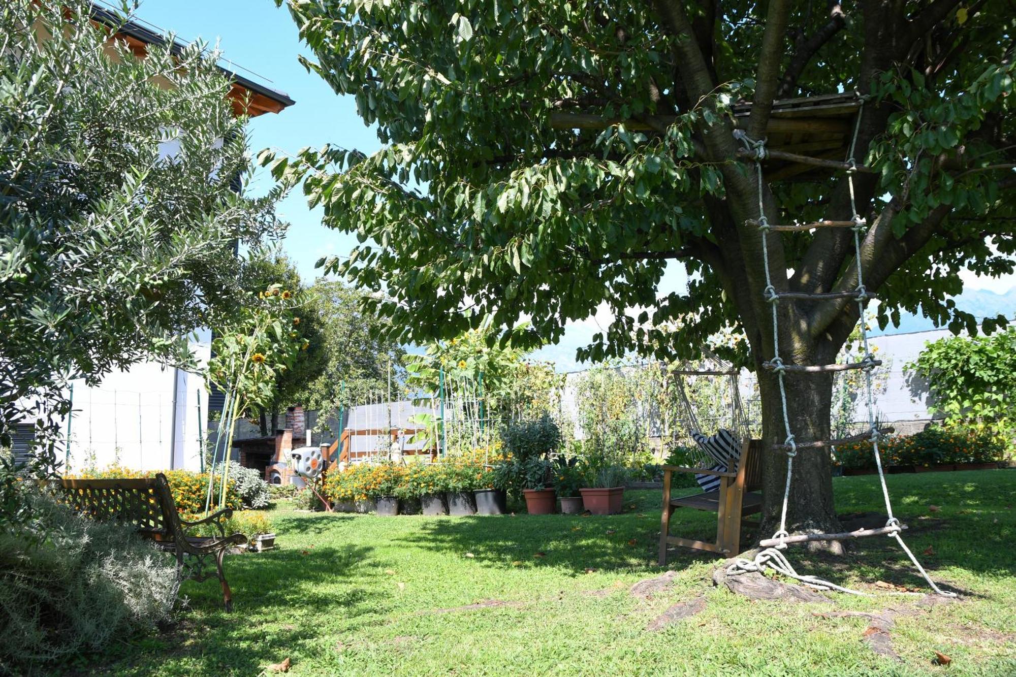 Il Giardino Dei Ciliegi Lägenhet Colico Exteriör bild