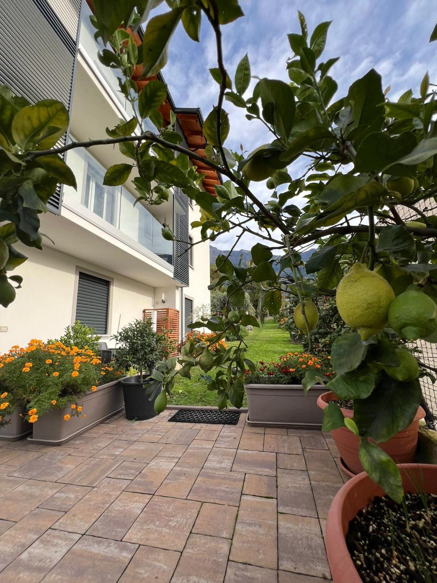 Il Giardino Dei Ciliegi Lägenhet Colico Exteriör bild